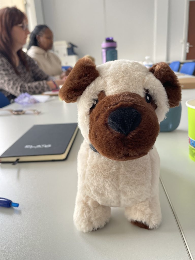 formation connexion animale