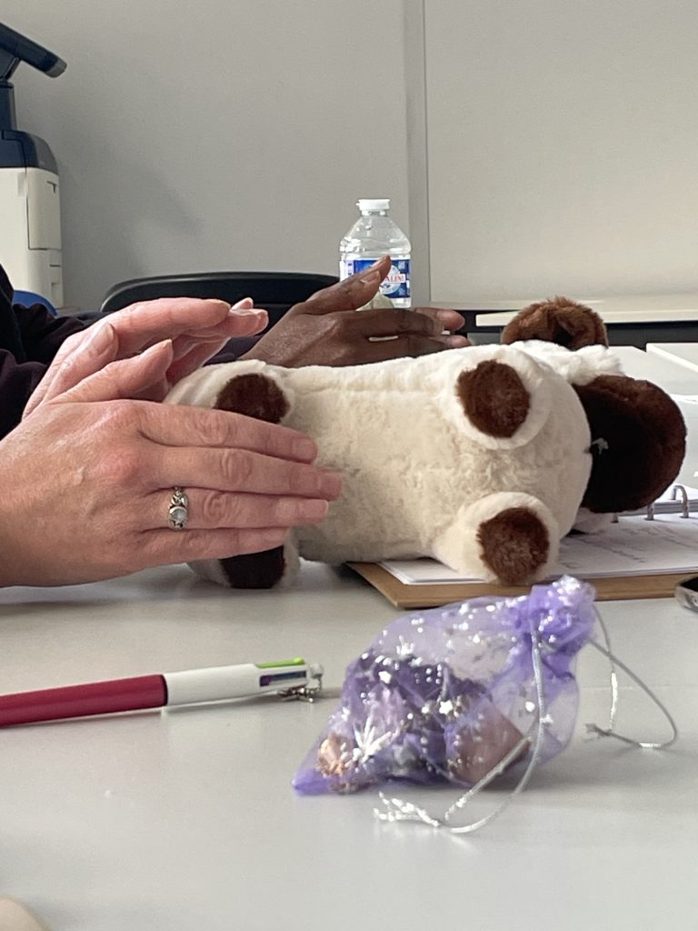 soins énergétiques sur chien